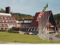 Všemina 
